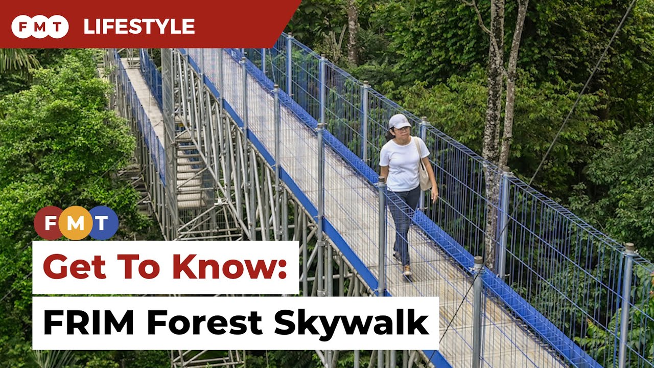 Get To Know: FRIM Forest Skywalk