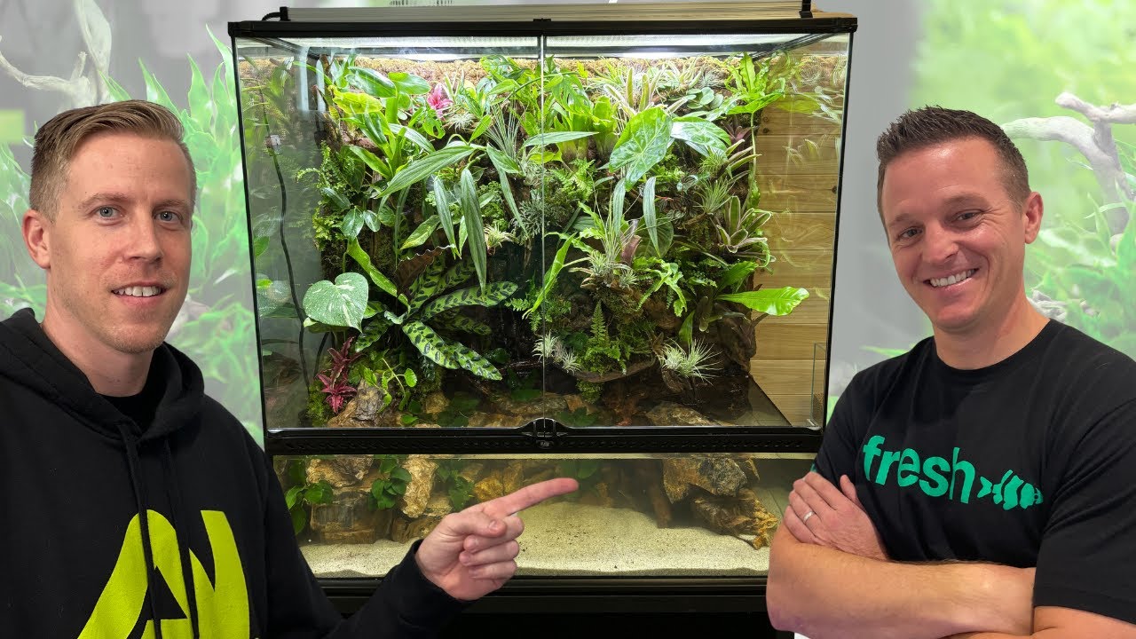 MASSIVE TERRARIUM With Poison DART FROGS