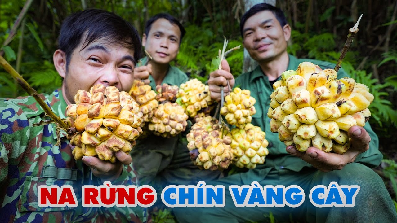 Mùa Na Rừng - Tho Rung