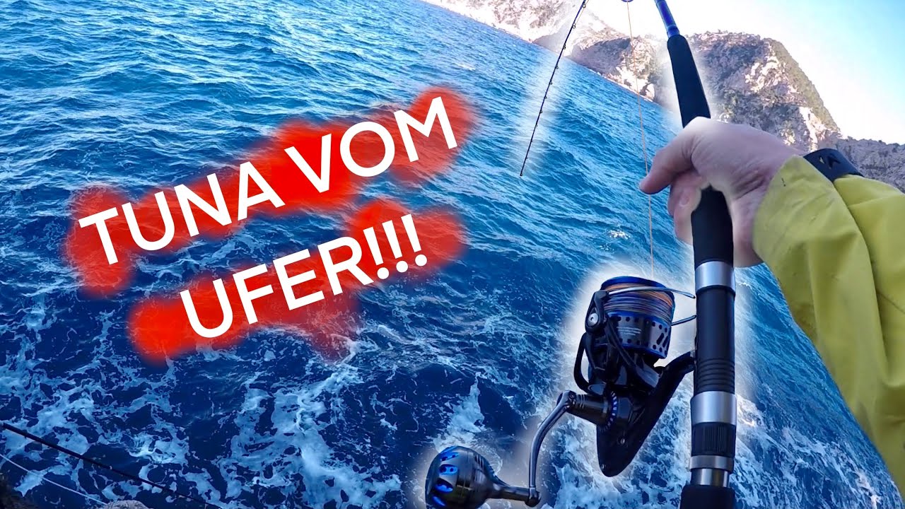 Tuna vom Ufer?...es knallt BRUTAL!!!