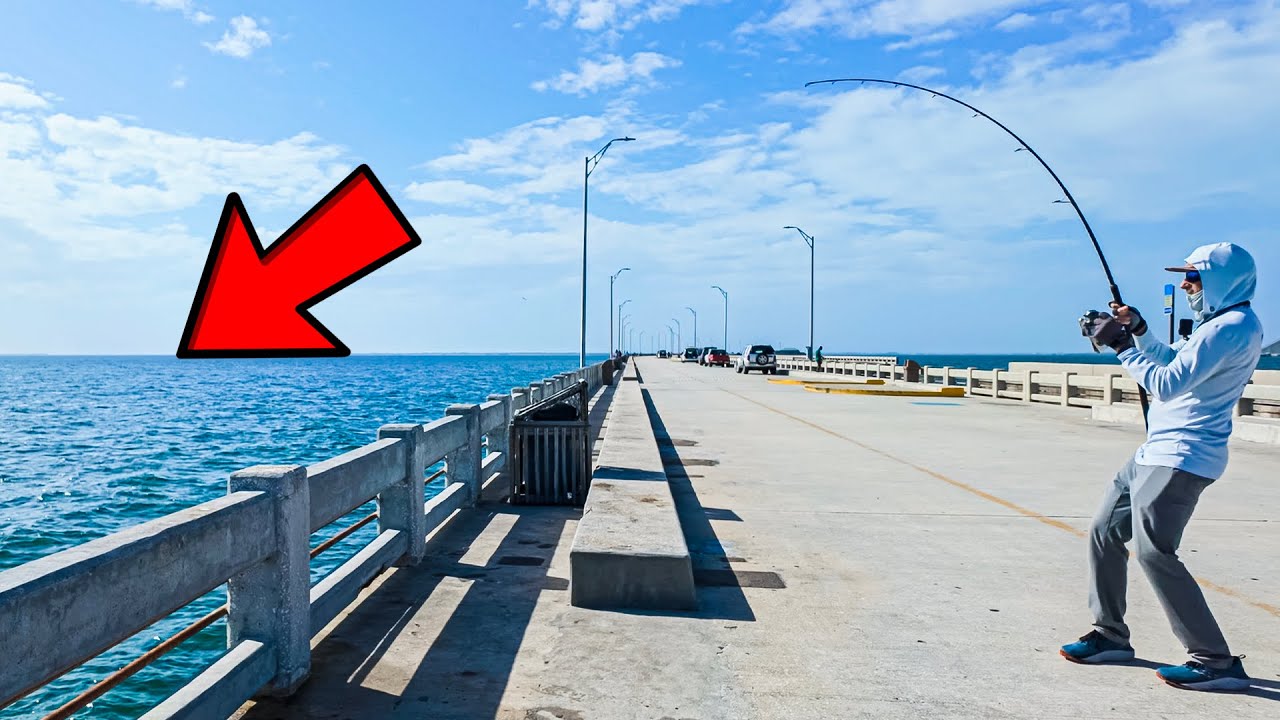 I Hooked the Biggest Grouper of My Life Fishing the Skyway Pier
