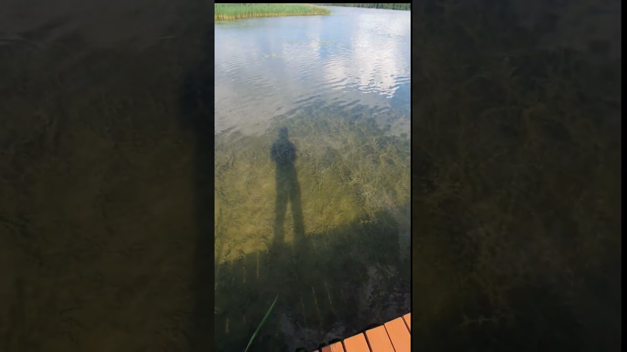 Moment near one of Lithuania lakes - Nava