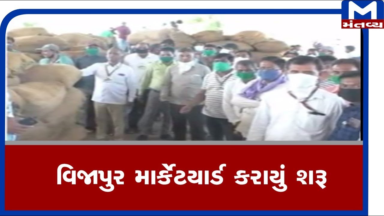 Vijapur માર્કેટયાર્ડ કરાયું શરૂ