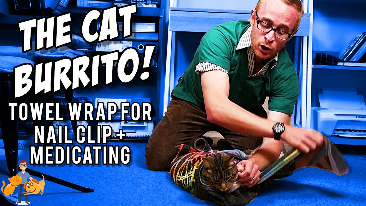 The Cat Burrito: Ninja Towel Wrap to Restrain Your Difficult Cat - Cat Health Vet Advice