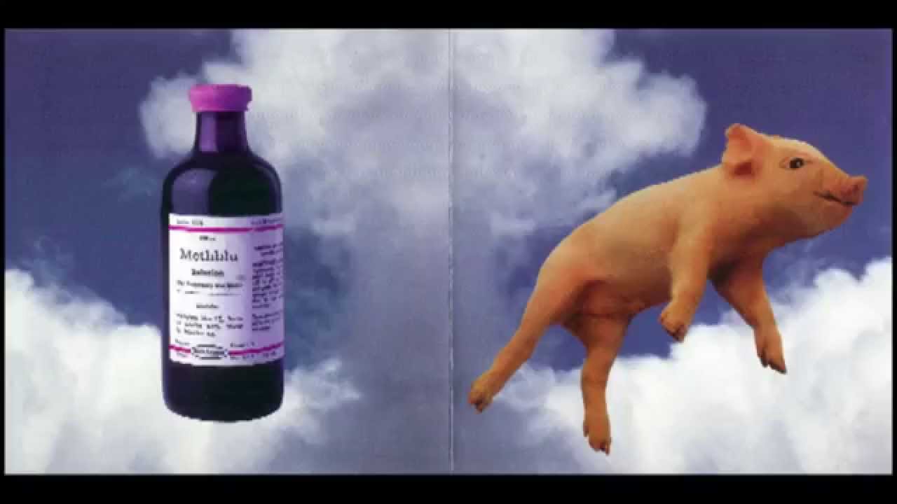 Didjits - Que Sirhan Sirhan 1993 full album