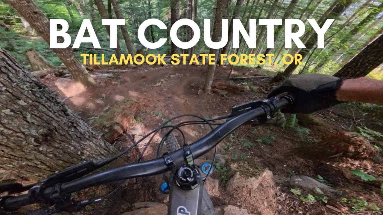 Bat Country - Dope DH Shuttle Trail in Oregon