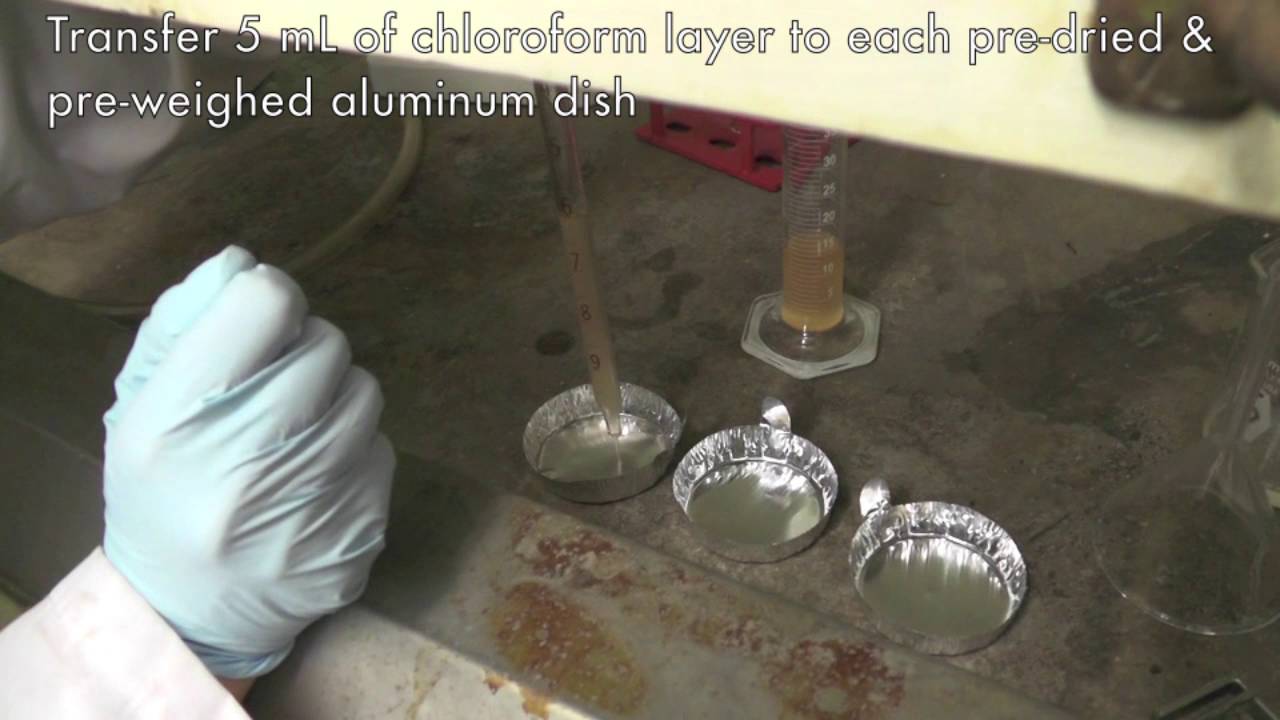 Lipid Extraction by Bligh & Dyer Method