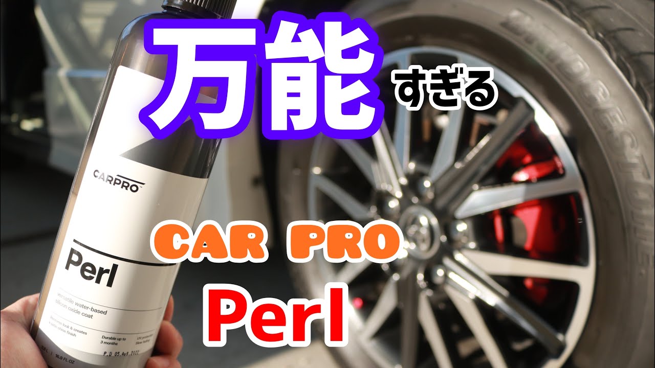 これ１本で何でも出来る! [CARPRO] Perl