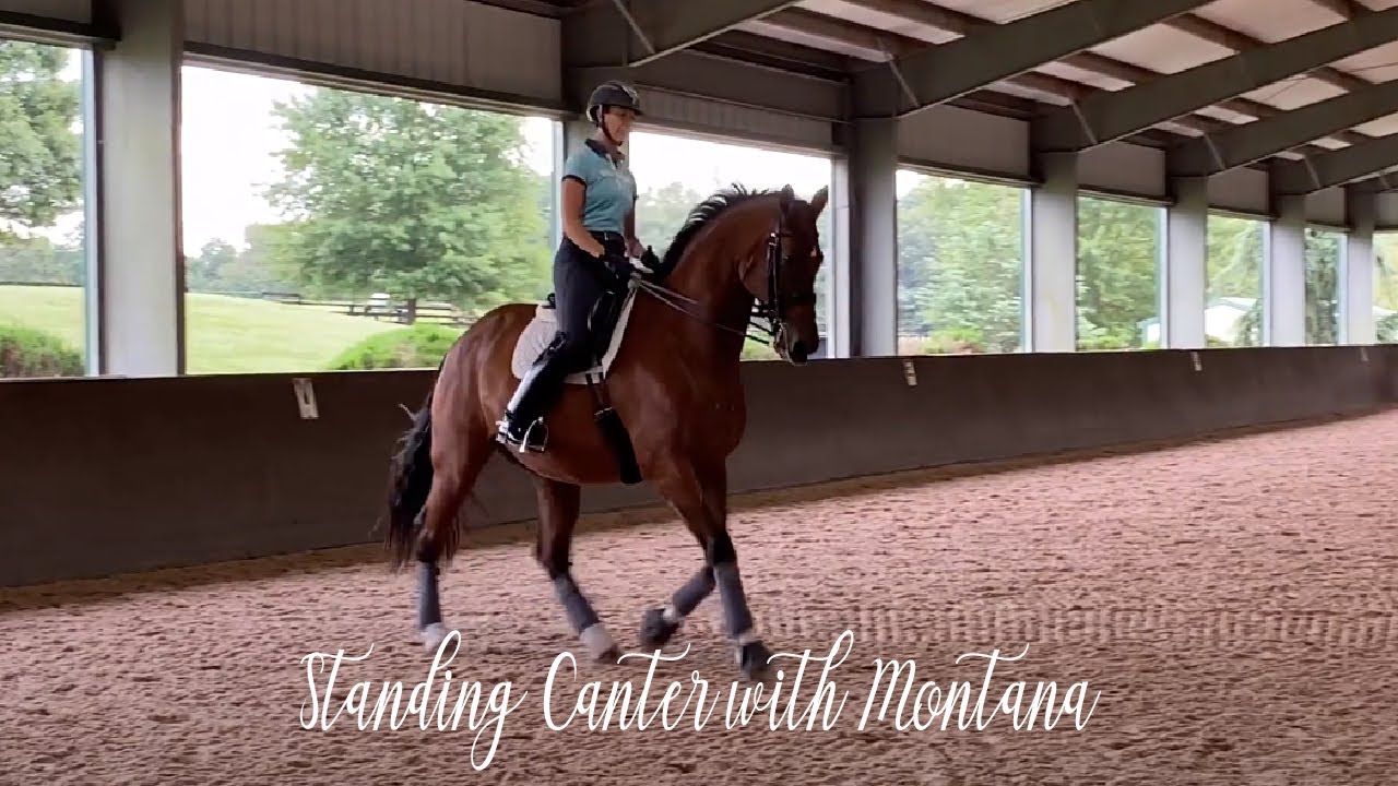 Standing Canter with Montana