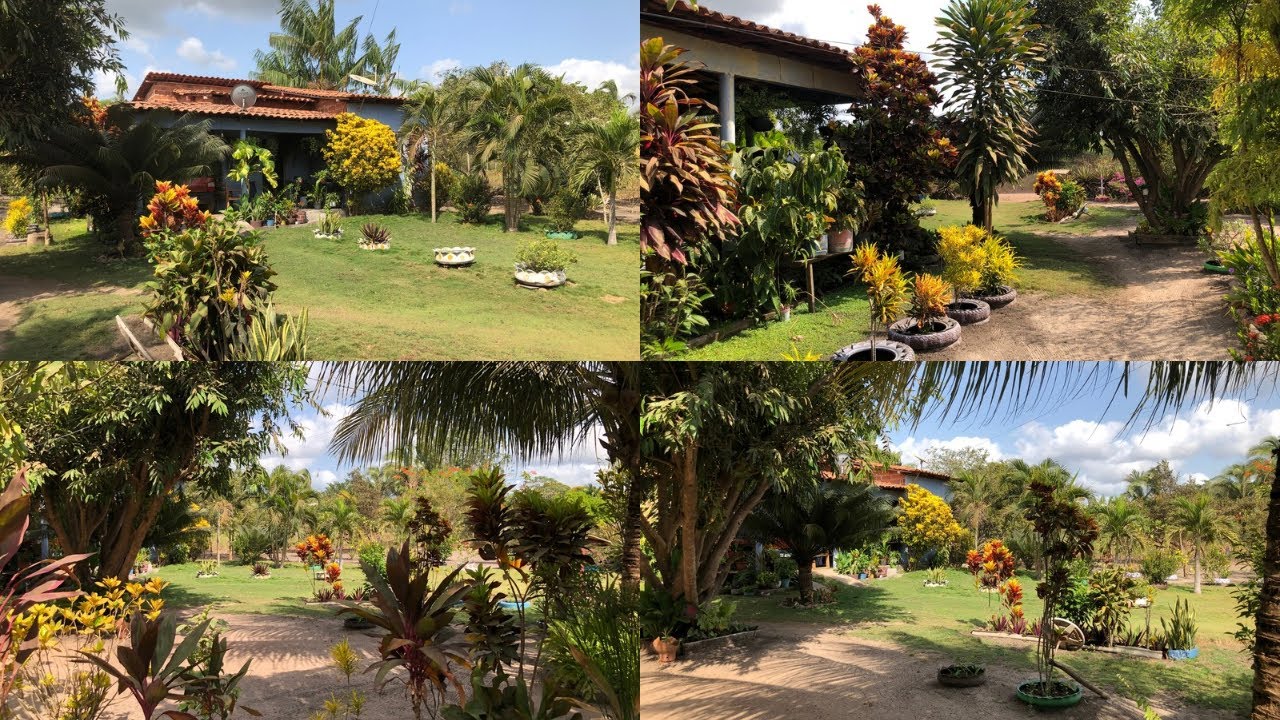 Atualização de como está meu jardim no período da seca