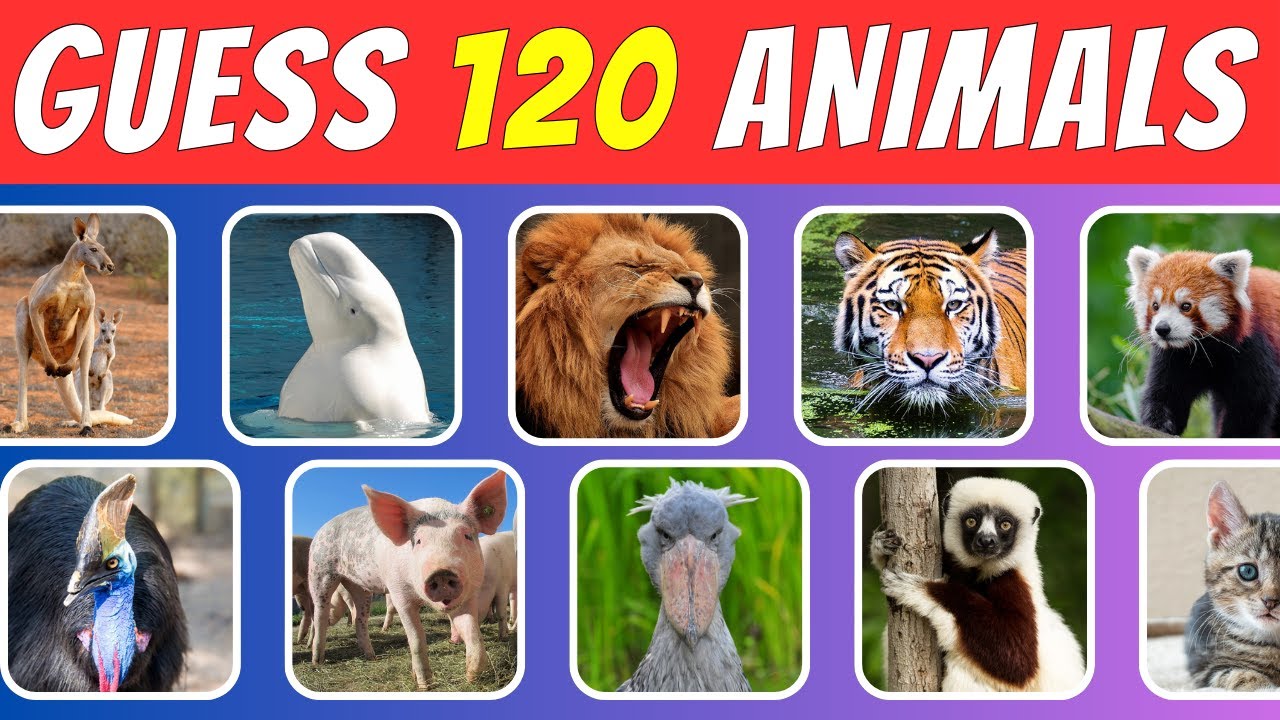 Guess 120 Animals in 3 Seconds ⏰ | Easy, Medium, Hard, Impossible