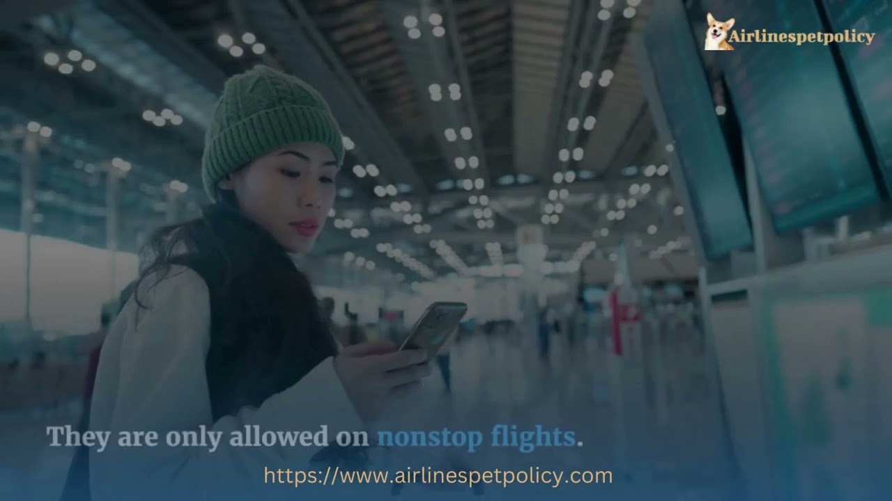 JetBlue Airlines Unaccompanied Minor Policy