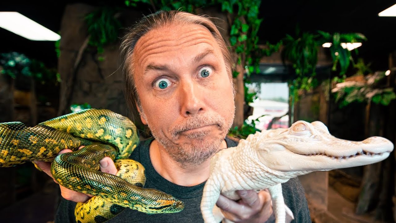 WHAT'S UP WITH MY ANACONDA AND ALBINO ALLIGATOR?? | BRIAN BARCZYK