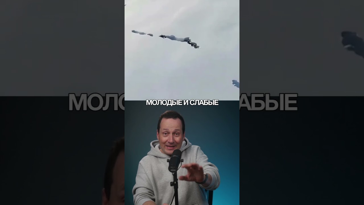 Как волки выживают в метровом снегу