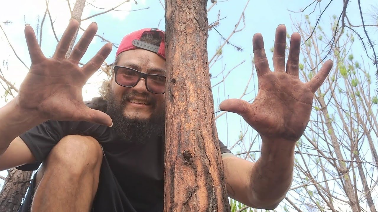 Asmr🌳Massage AGRRESSIVE