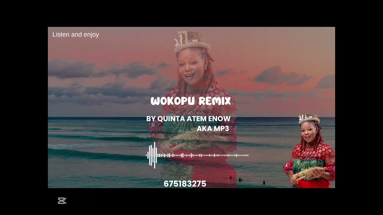 Wokopu remix