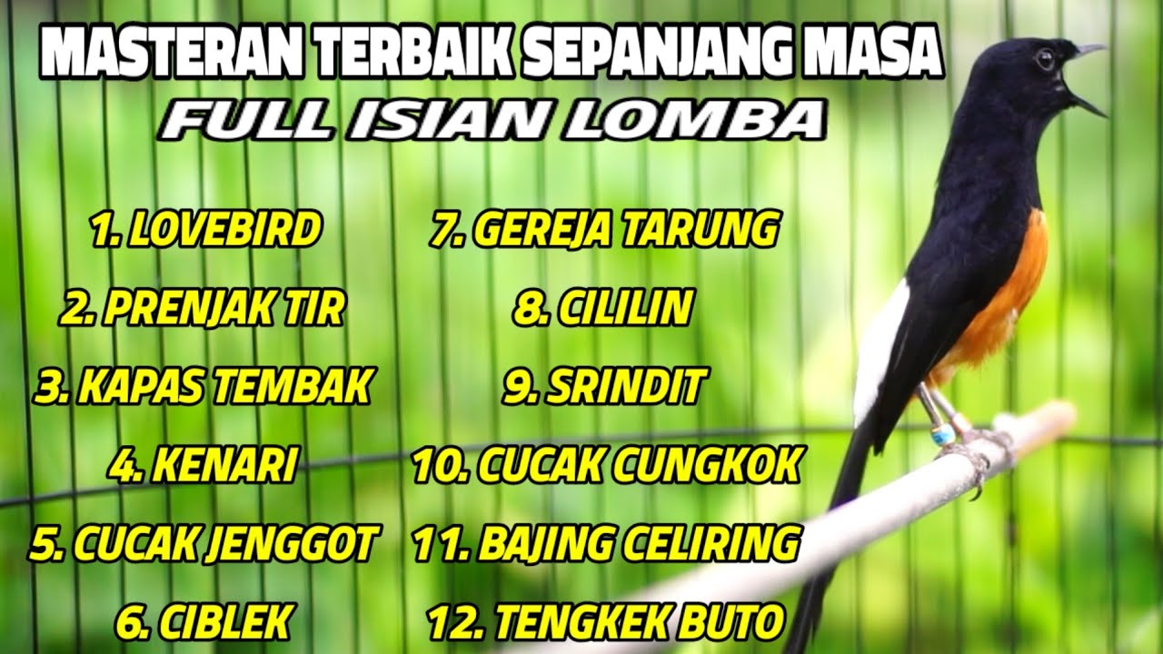 MASTERAN MURAI BATU FULL ISIAN TERBAIK SEPANJANG MASSA