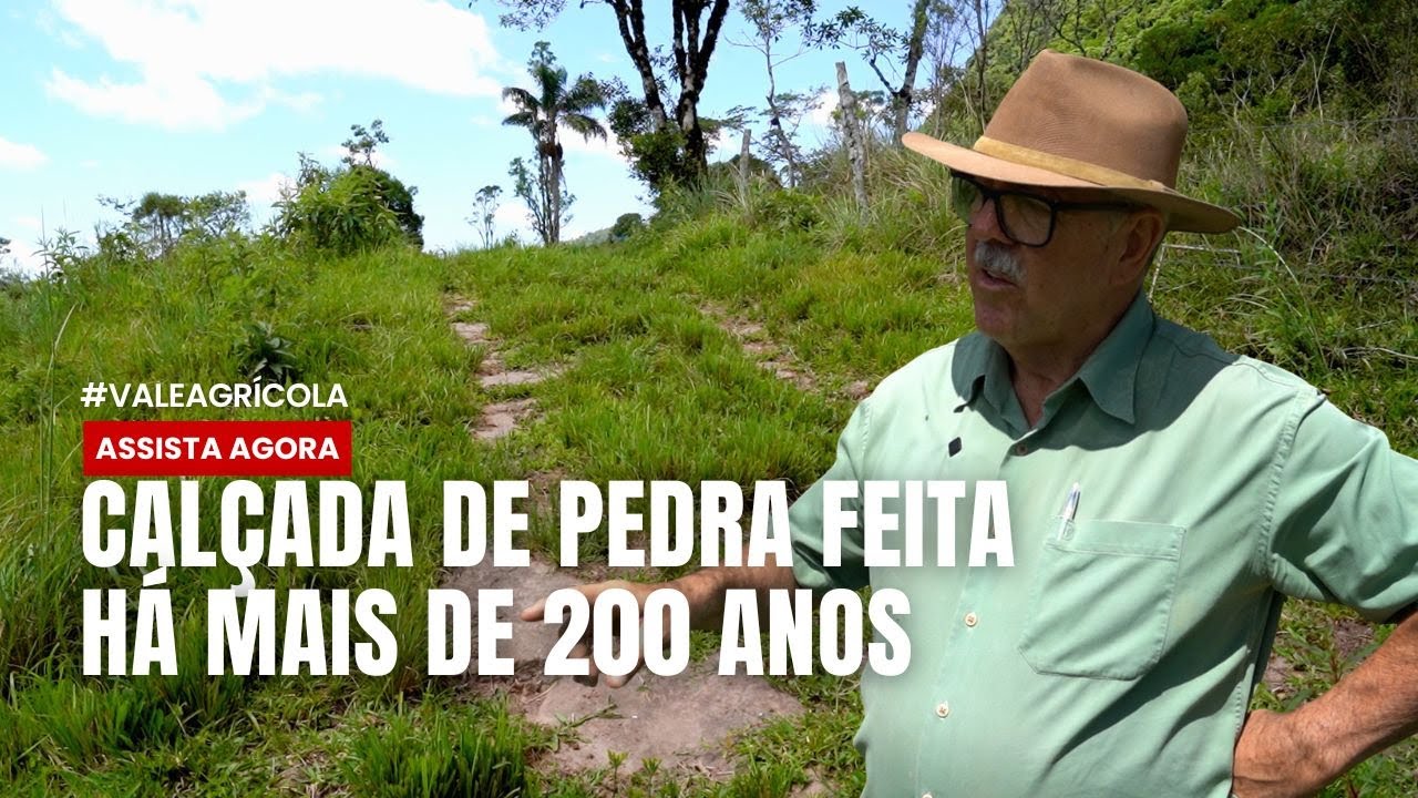 ACHAMOS UM 