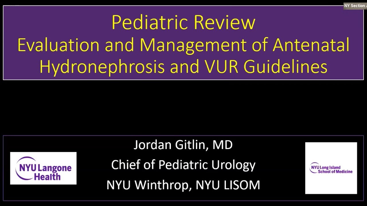 Antenatal Hydronephrosis, VUR - EMPIRE Urology In Service Review
