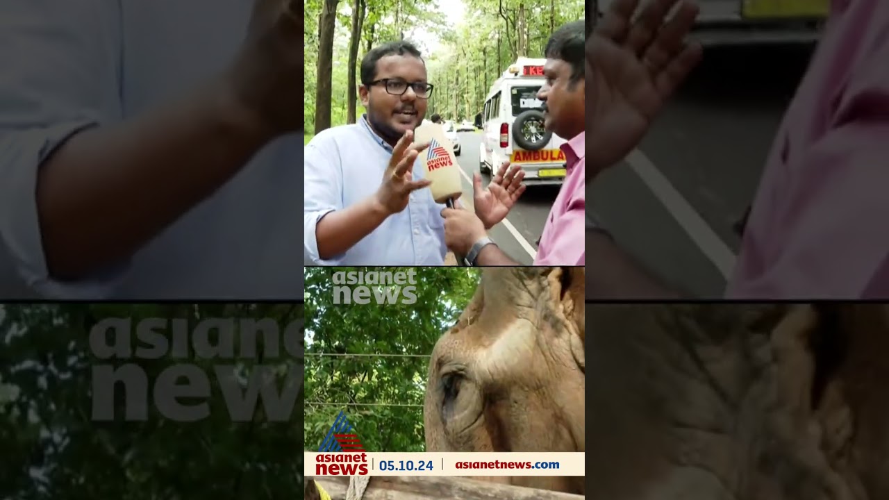 പുതുപ്പള്ളിയുടെ സ്വന്തം സാധു; സാധു ശരിക്കുമൊരു സാധു ആനയാണ് കേട്ടോ