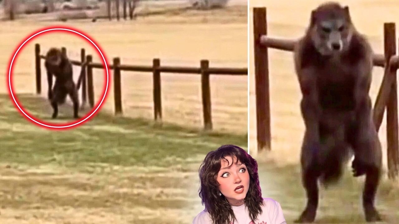 SCARIEST Nightmare Inducing CRYPTIDS & More Caught on Camera 2026