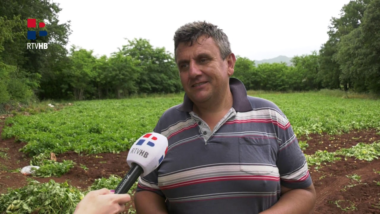 RTV HB: Nikad teža godina za ljubuške poljoprivrednike