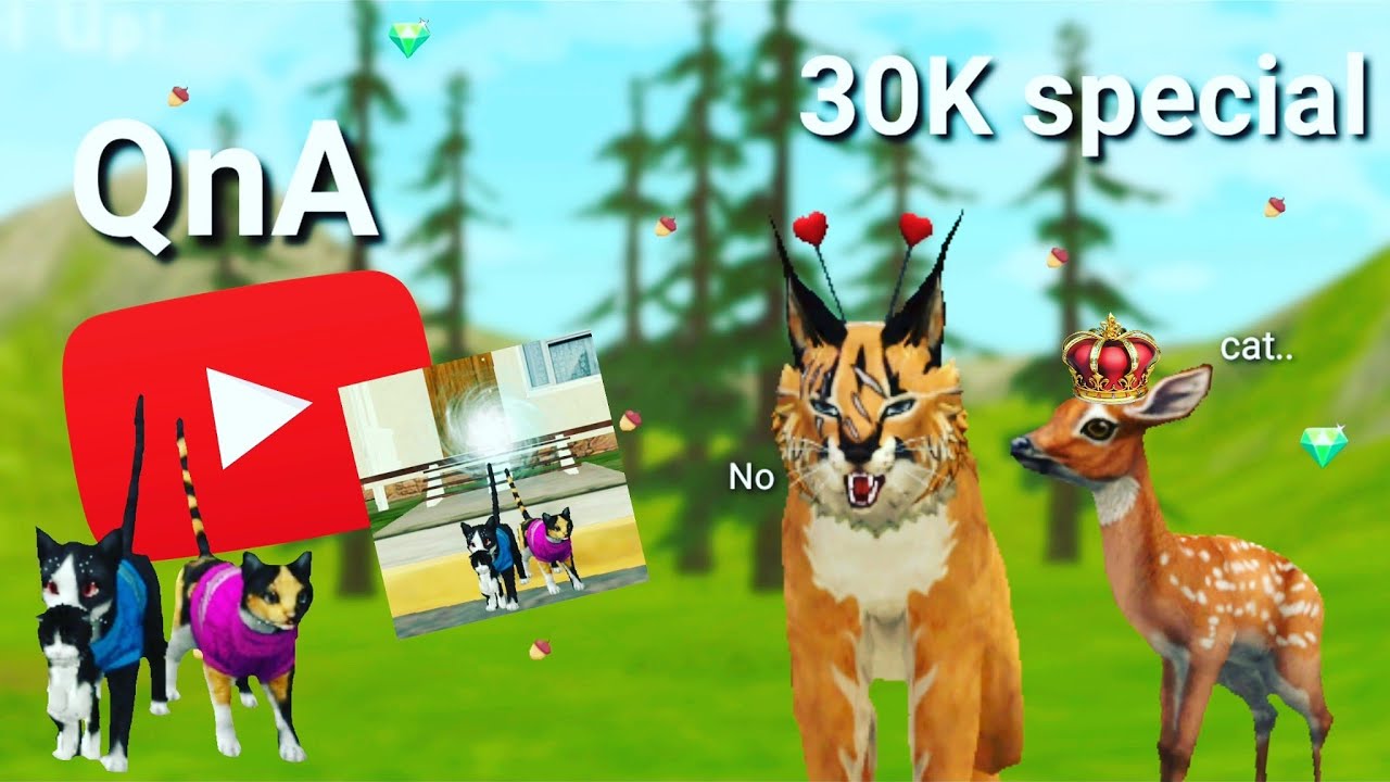 Cat EyeZ Wildcraft QnA ( 30k Special ) +Teaser