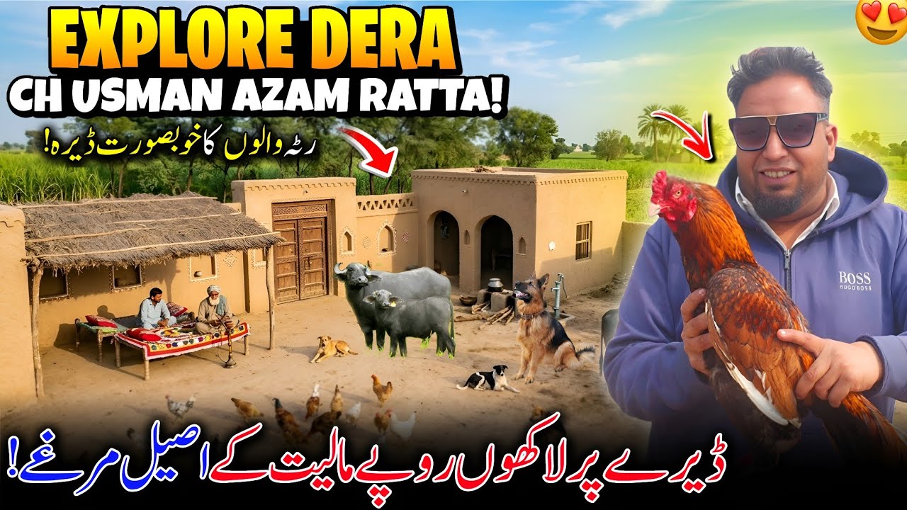 Explore Dera Ch Usman Ratta 😍✨ Ratta Walo Ka Khoobsurat Dera | Family Vlog