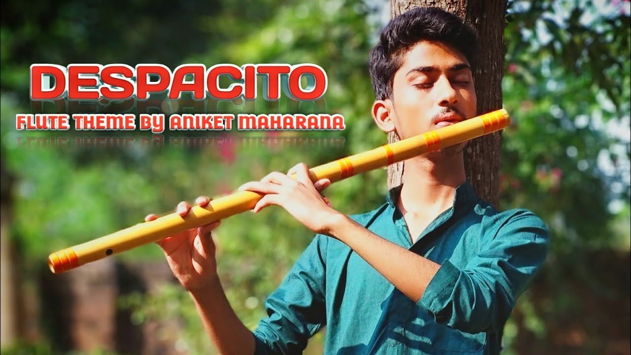 Despasito- Flute version  Full song (Including Rap Part) by Aniket Maharana