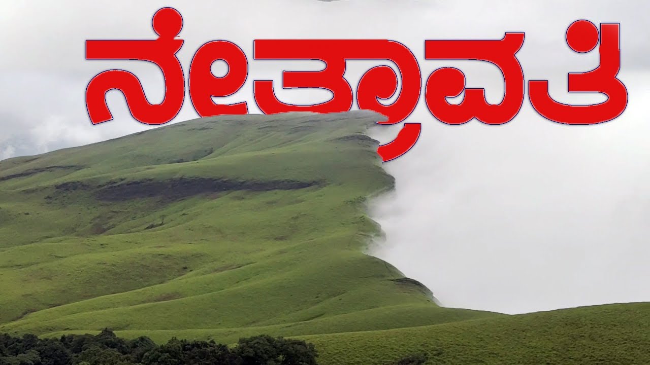 NETRAVATI PEAK | Netravati | ನೇತ್ರಾವತಿ ಚಾರಣ | ನೇತ್ರಾವತಿ ಪೀಕ್‌ | chikkamagaluru | kalasa