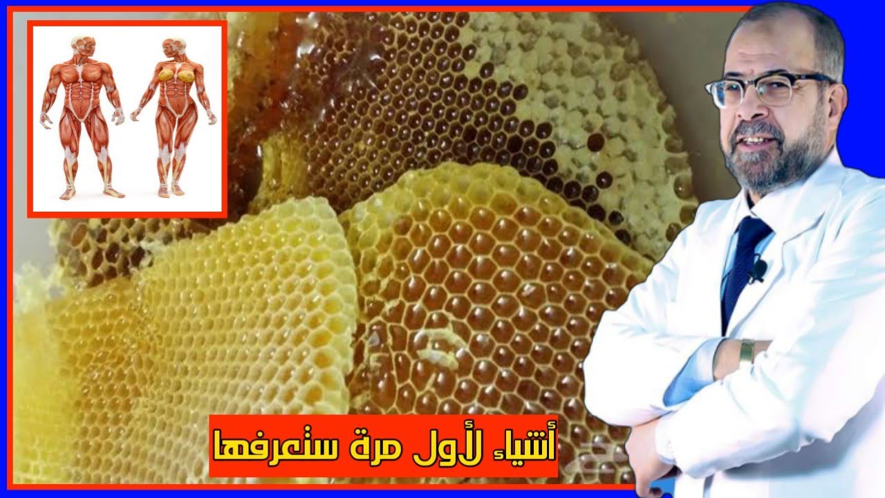 ما لا تعرفه عن العسل الأبيض والعسل الجبلى | دكتور جودة محمد عواد | دكتور جودة محمد عواد
