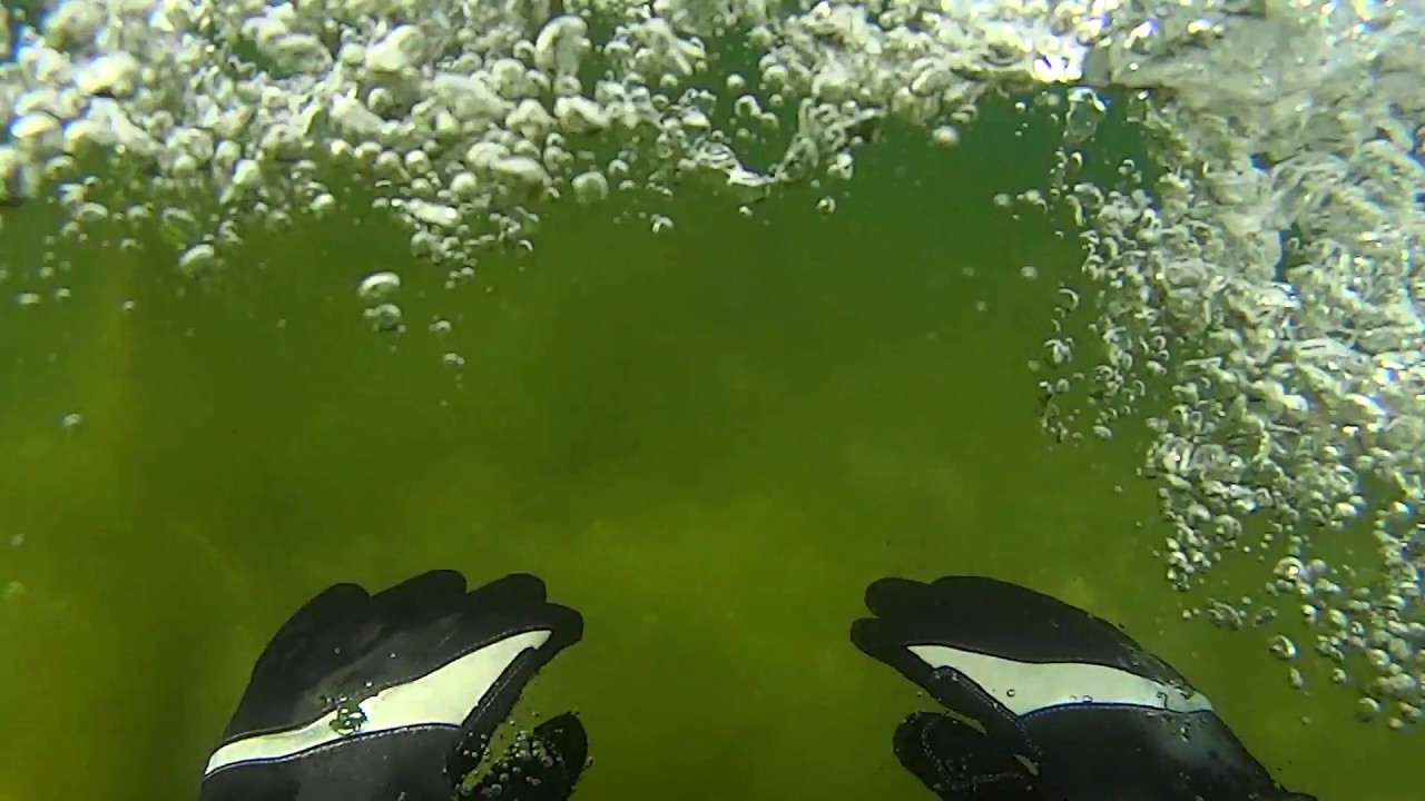 One Breath World. Jezioro Wielewskie, free diving