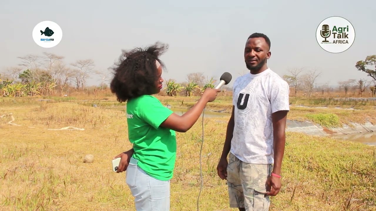Agritalk Africa Podcast Ep 24 | Kisalala Fisheries: Breeding Success in Aquaculture 🐟🌊