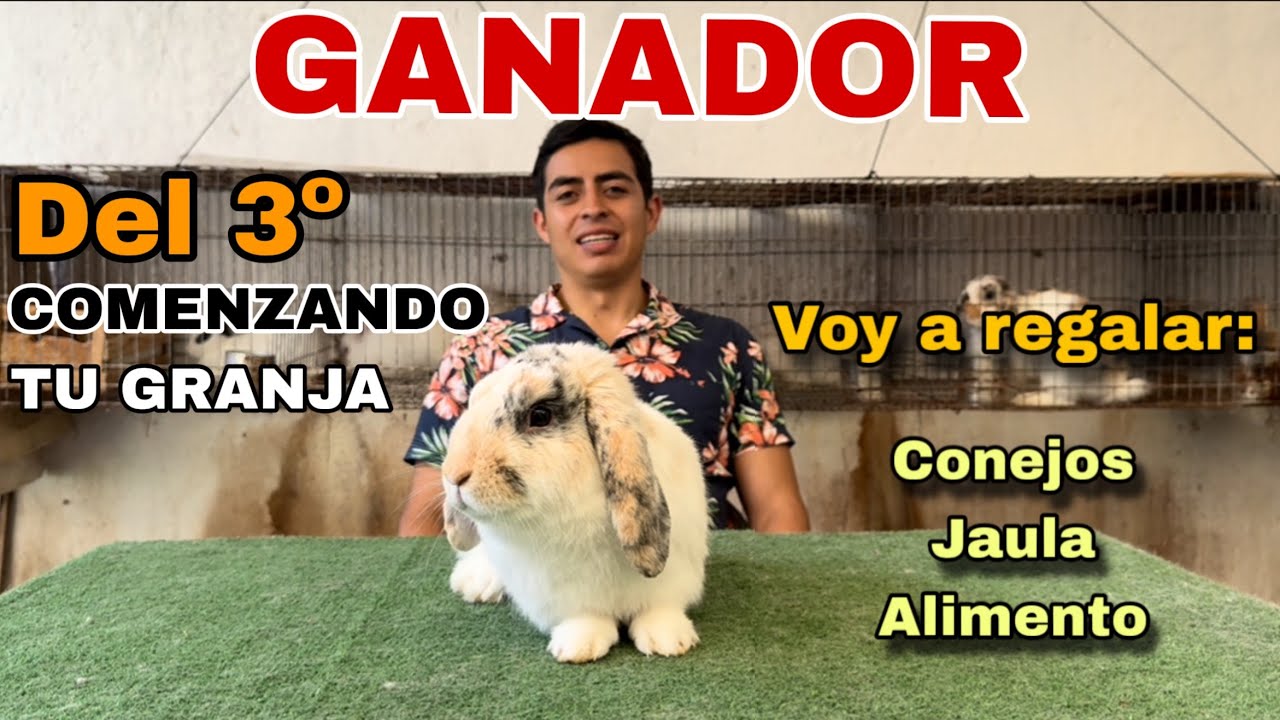KUNIC está en vivo