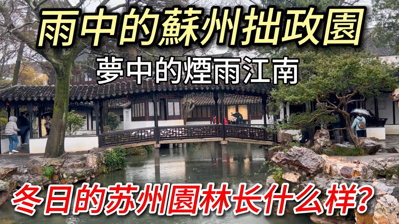 這是我在蘇州見到【拙政園】人最少的一次，帶大家看看人少且下雨的園林景色｜冬日里雨天漫步拙政園，人少、景美，這大概就是我夢中的煙雨江南吧