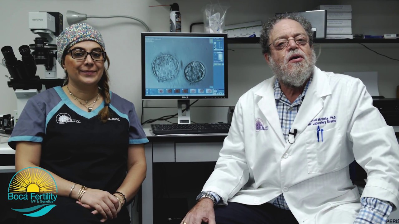 Questions about IVF