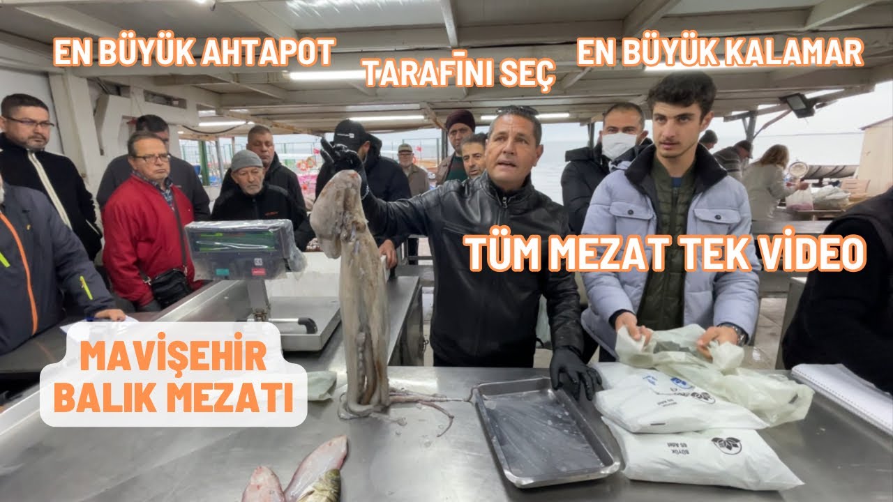 En büyük ahtapot için kredi çekecektim, efsane mezat oldu 23.02.2024 #balık #mezat #balıkmezatı