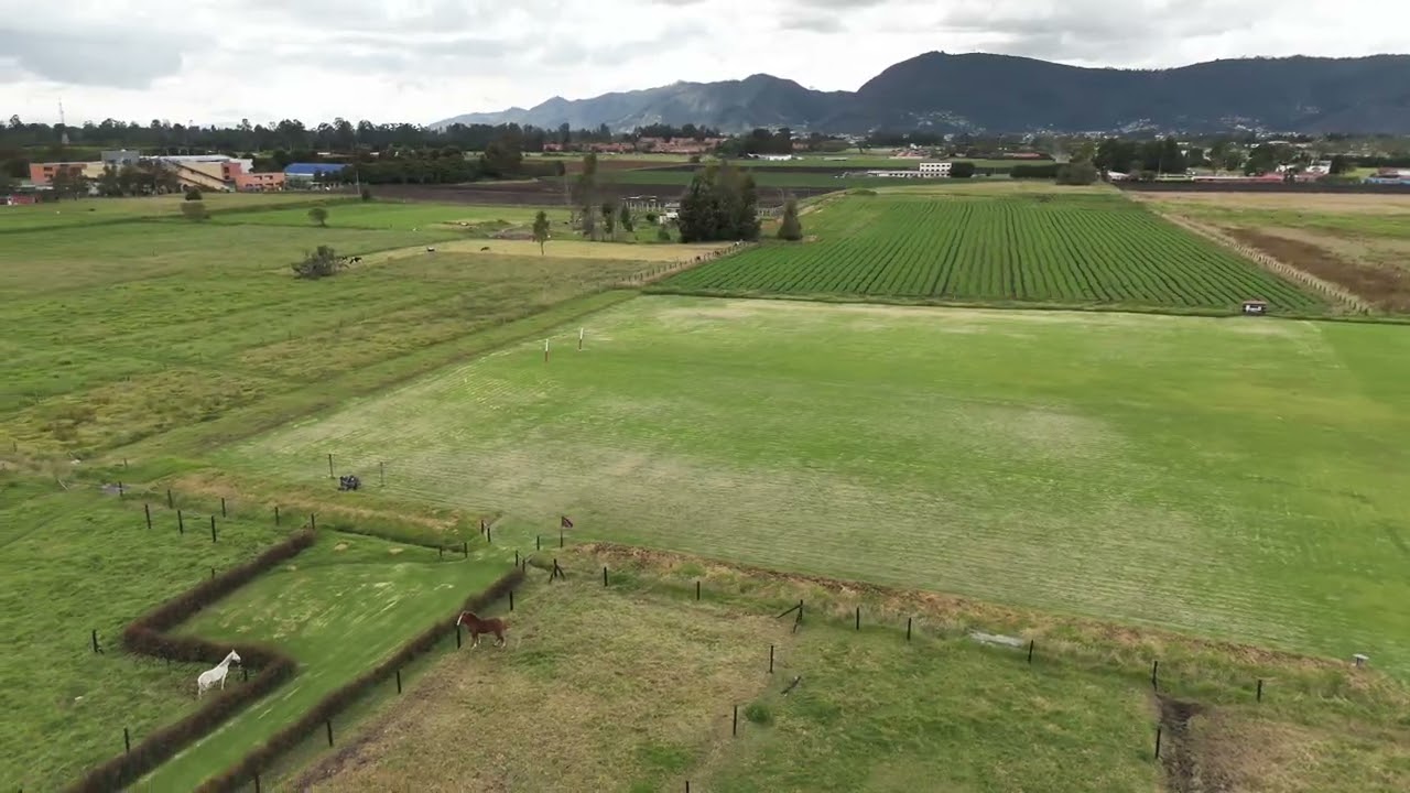Campo Bravo Polo Experience | 28 Feb y 01 de Marzo