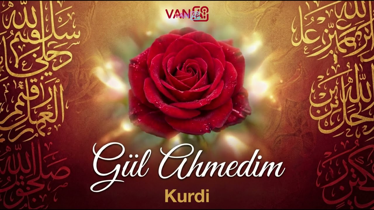 Gül Ahmedim kurdi - Van AI Stran