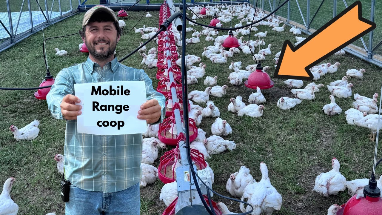 Mobile Range Coop 600- Raising Meat Birds on Pasture
