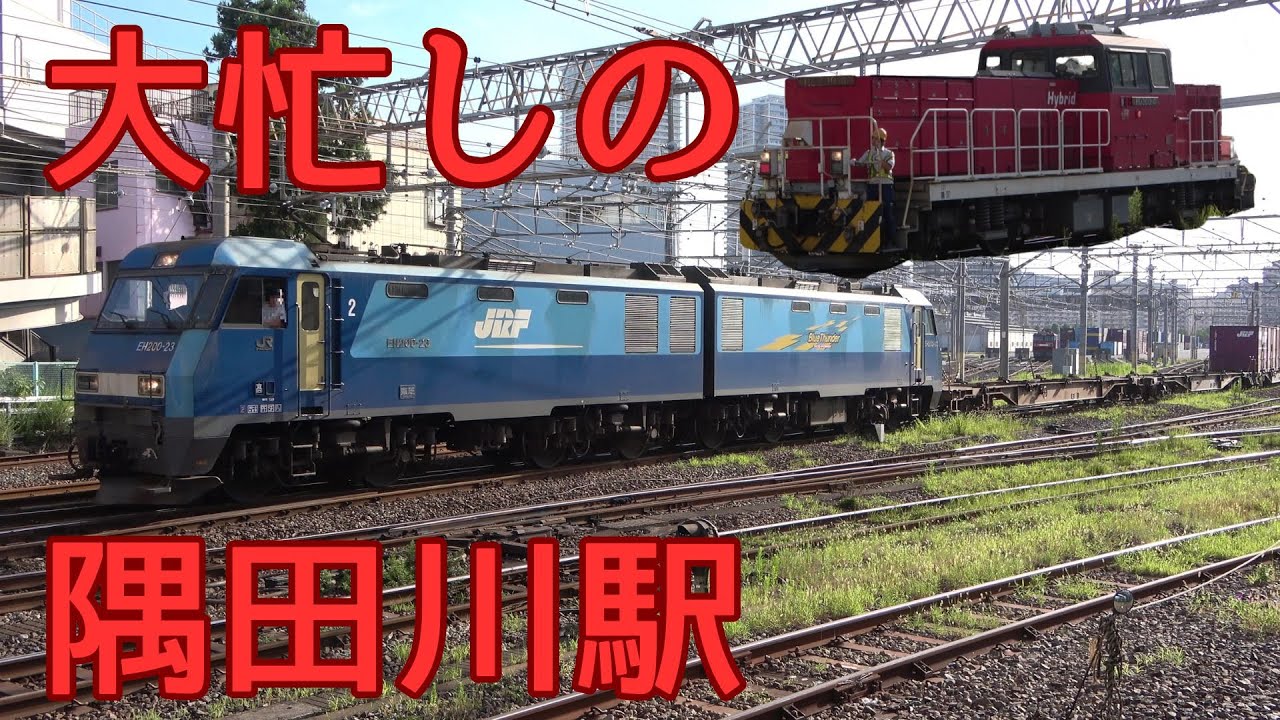 早朝の隅田川駅は大忙し！次々とやって来る貨物列車