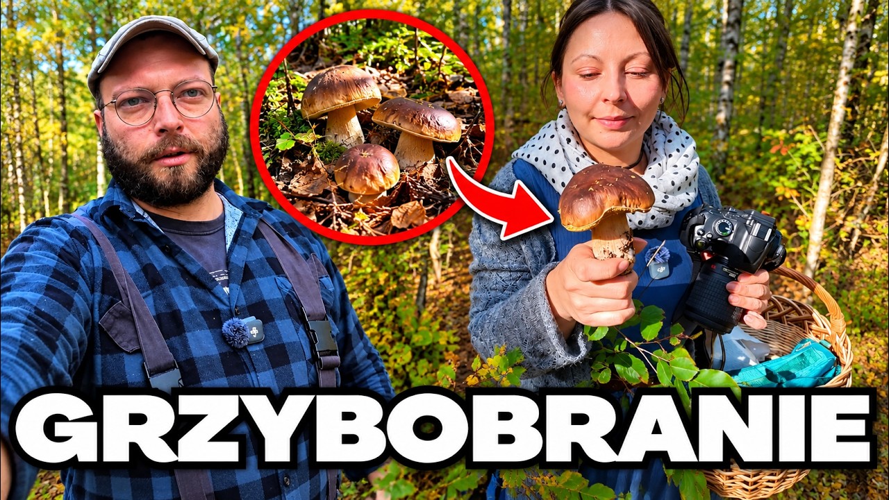Wsp&oacute;lne grzybobranie