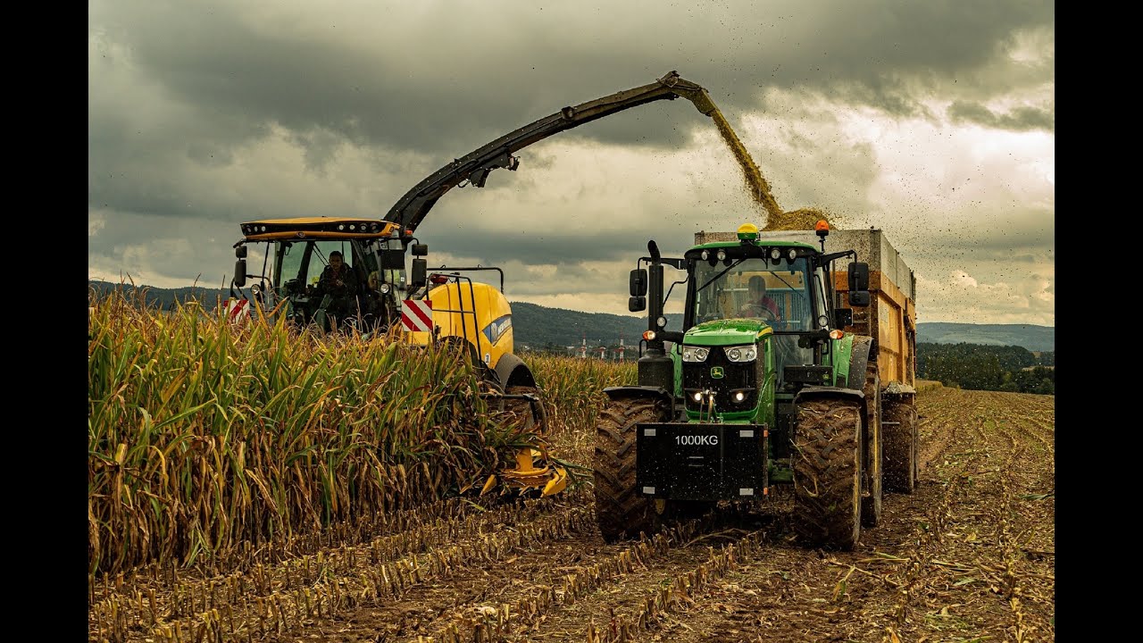 NEW HOLLAND FR650 & 10 Rows | JOHN DEERE 9600i & 8 Rows | Siláže 2019 | Corn Silage 2019