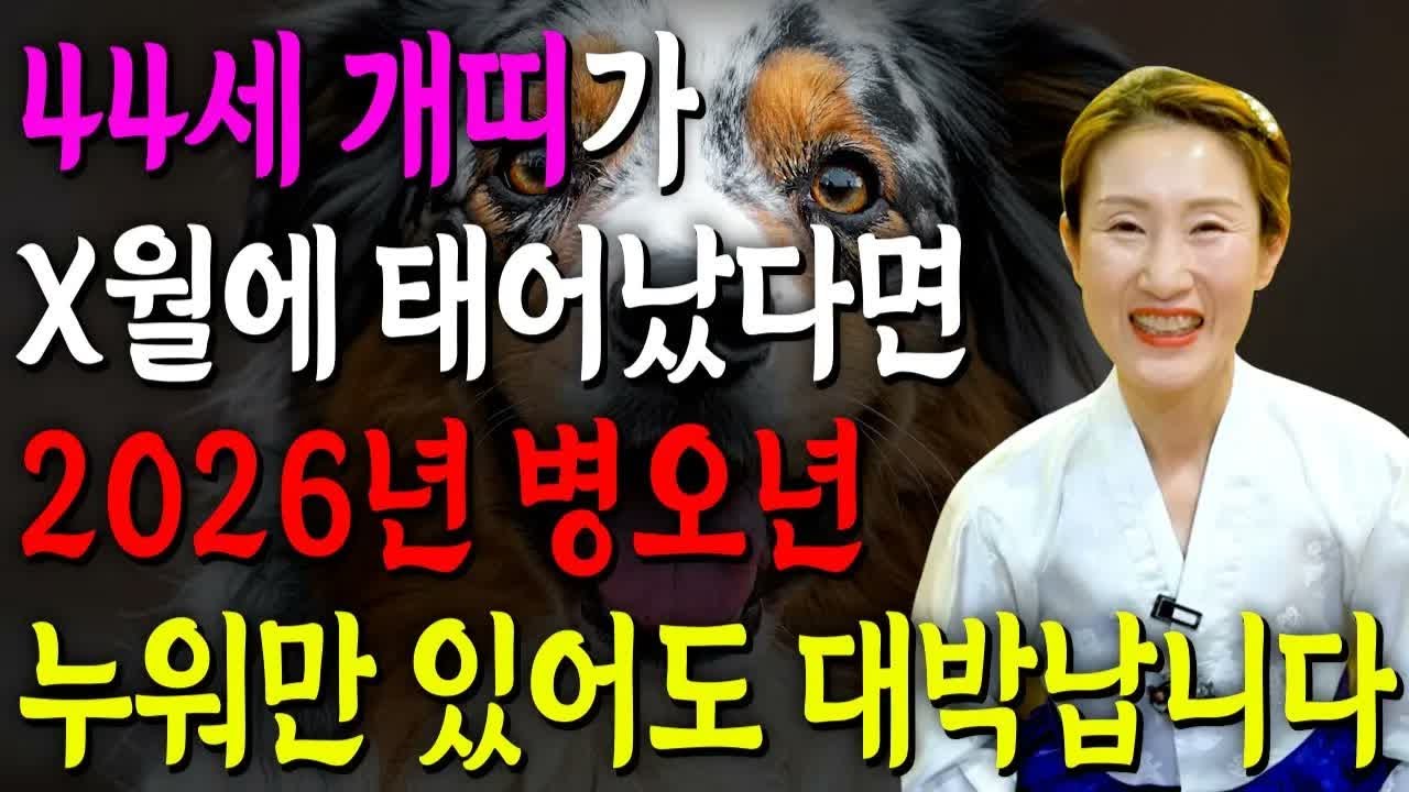 ⭐2026년 신년운세⭐ 1982년생 44세 개띠 운세｜생일이 X월이면 대박 확정! 82년생 개띠 운명 대공개