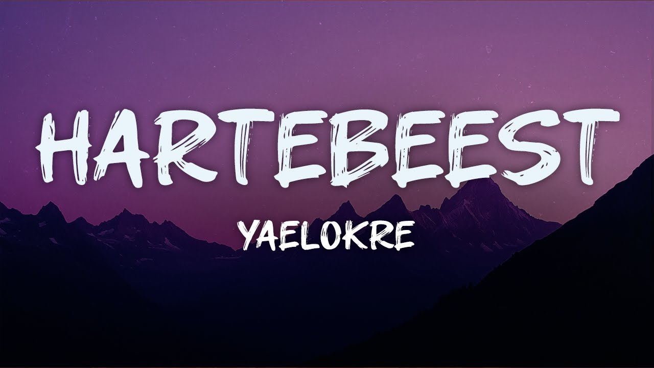 yaelokre - hartebeest (lyrics)