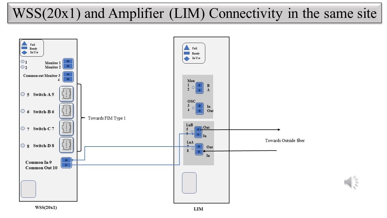 Physical Connectivity between Ciena WSS 20x1 to Amplifier LIM in Signal Flow of DWDM/CDC