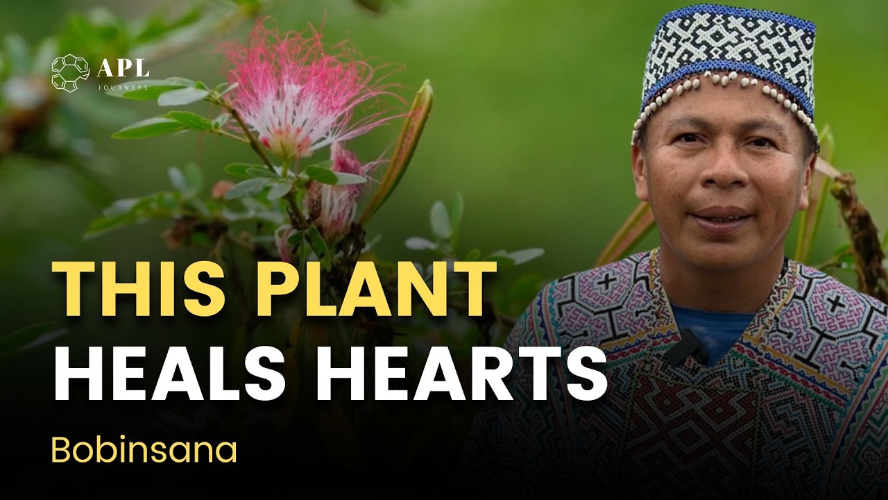 After Ayahuasca | Bobinsana and the Path to Emotional Healing