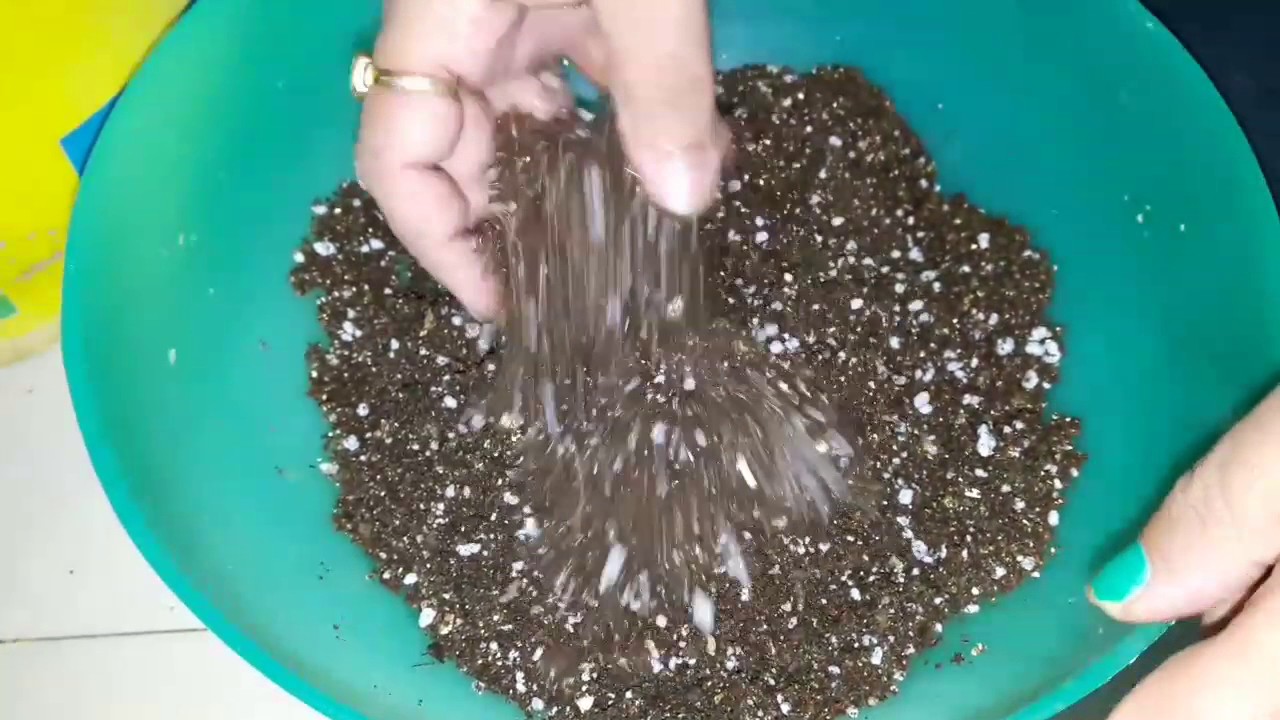 Coco Peat Potting Mix || How to make Soilless Potting Mix with Cocopeat at home