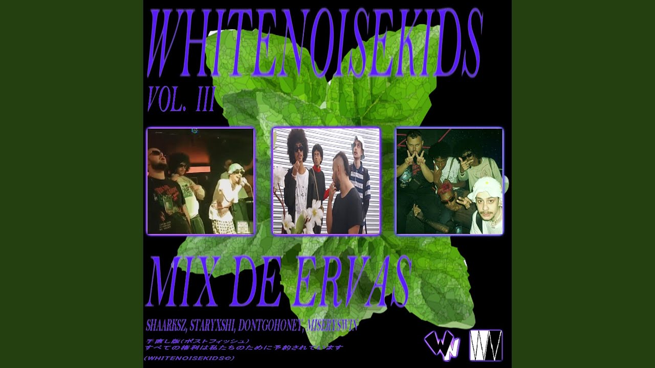 MIX DE ERVAS (feat. shaarksz, STARYXSHI, dontgohoney & miseryswin)
