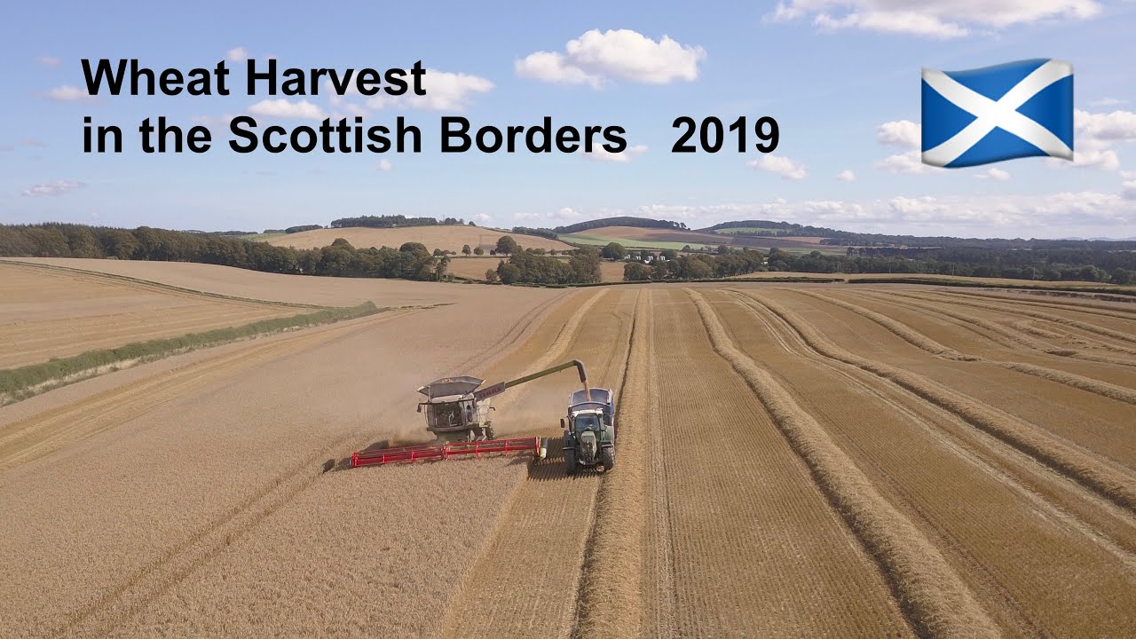 CLAAS  Lexion 770TT : Harvest 2019 : Scottish Borders